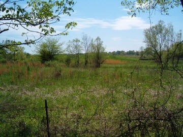 2364 West Harrison Road Murphysboro, IL 62966 - Photo 1 of 1