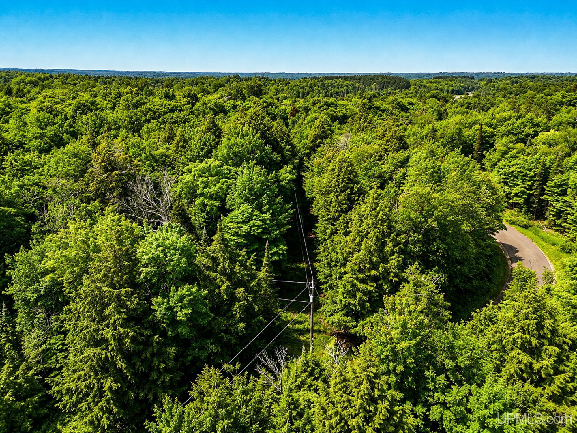 Lot 4 State Line Lake Road East Marenisco, MI 49947 - Photo 13 of 16