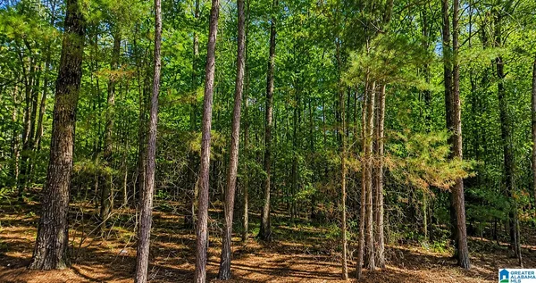 $11,500 | 0 Dale Drive, McCalla, AL 35111