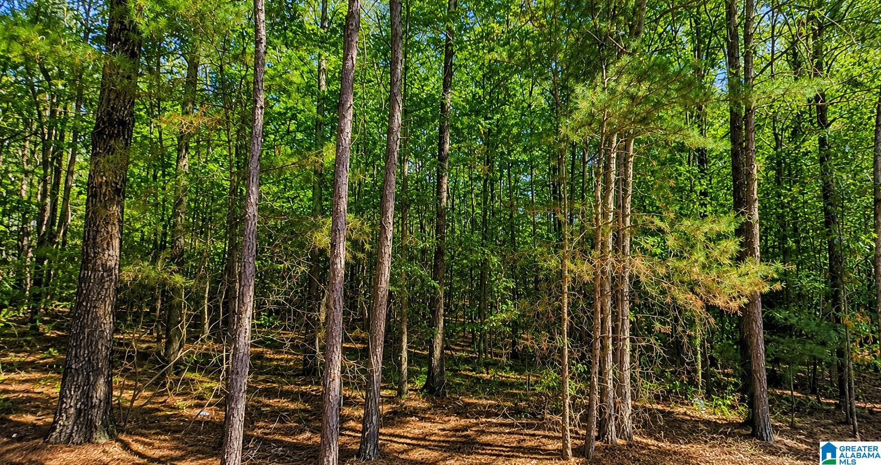 0 Dale Drive McCalla, AL 35111 - Photo 1 of 7