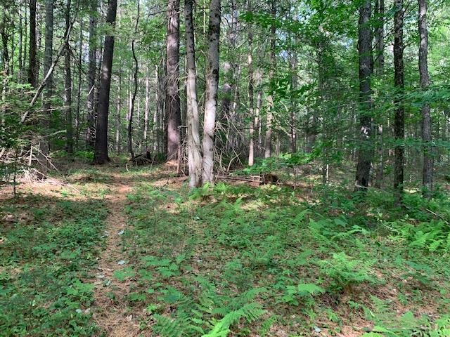 11 Old County Road West Landgrove, VT 05148 - Photo 3 of 14