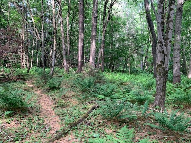 11 Old County Road West Landgrove, VT 05148 - Photo 6 of 14