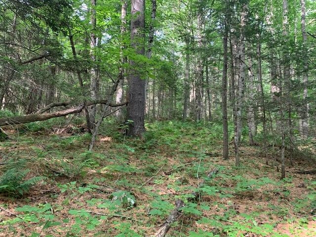 11 Old County Road West Landgrove, VT 05148 - Photo 7 of 14