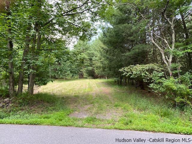 443 Scarawan Road Stone Ridge, NY 12484 - Photo 1 of 6 a view of a lake view
