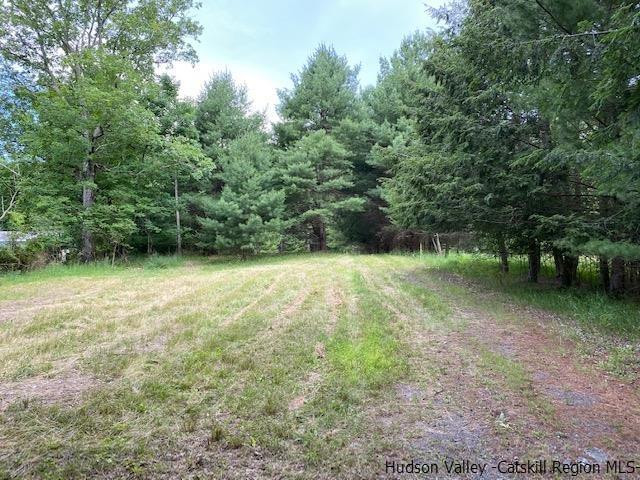 443 Scarawan Road Stone Ridge, NY 12484 - Photo 2 of 6 a view of outdoor space and yard