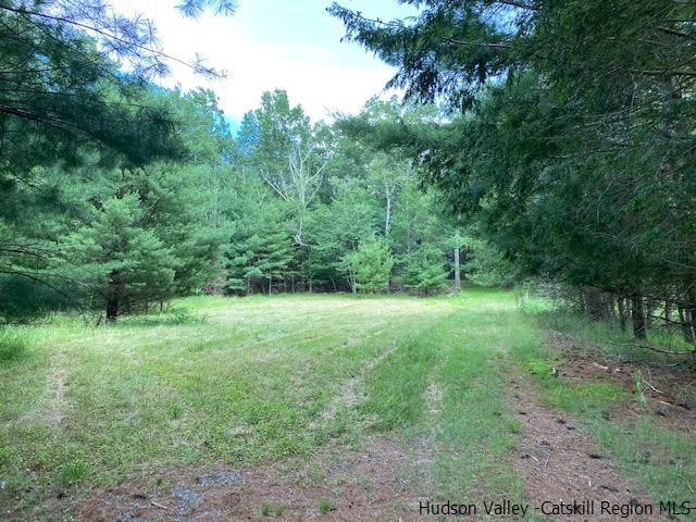 443 Scarawan Road Stone Ridge, NY 12484 - Photo 3 of 6 a view of a yard with a tree