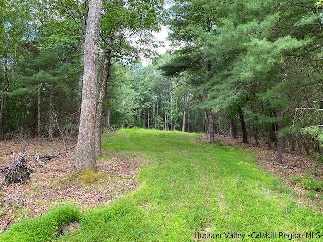 443 Scarawan Road Stone Ridge, NY 12484 - Photo 4 of 6 a view of a yard with a tree