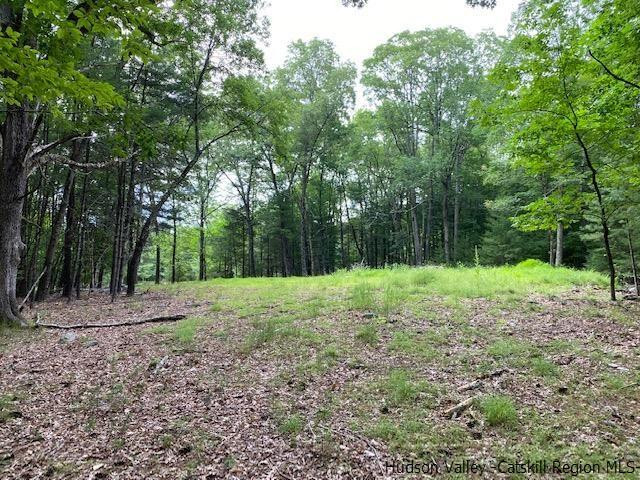 443 Scarawan Road Stone Ridge, NY 12484 - Photo 5 of 6 a view of a yard with tree s