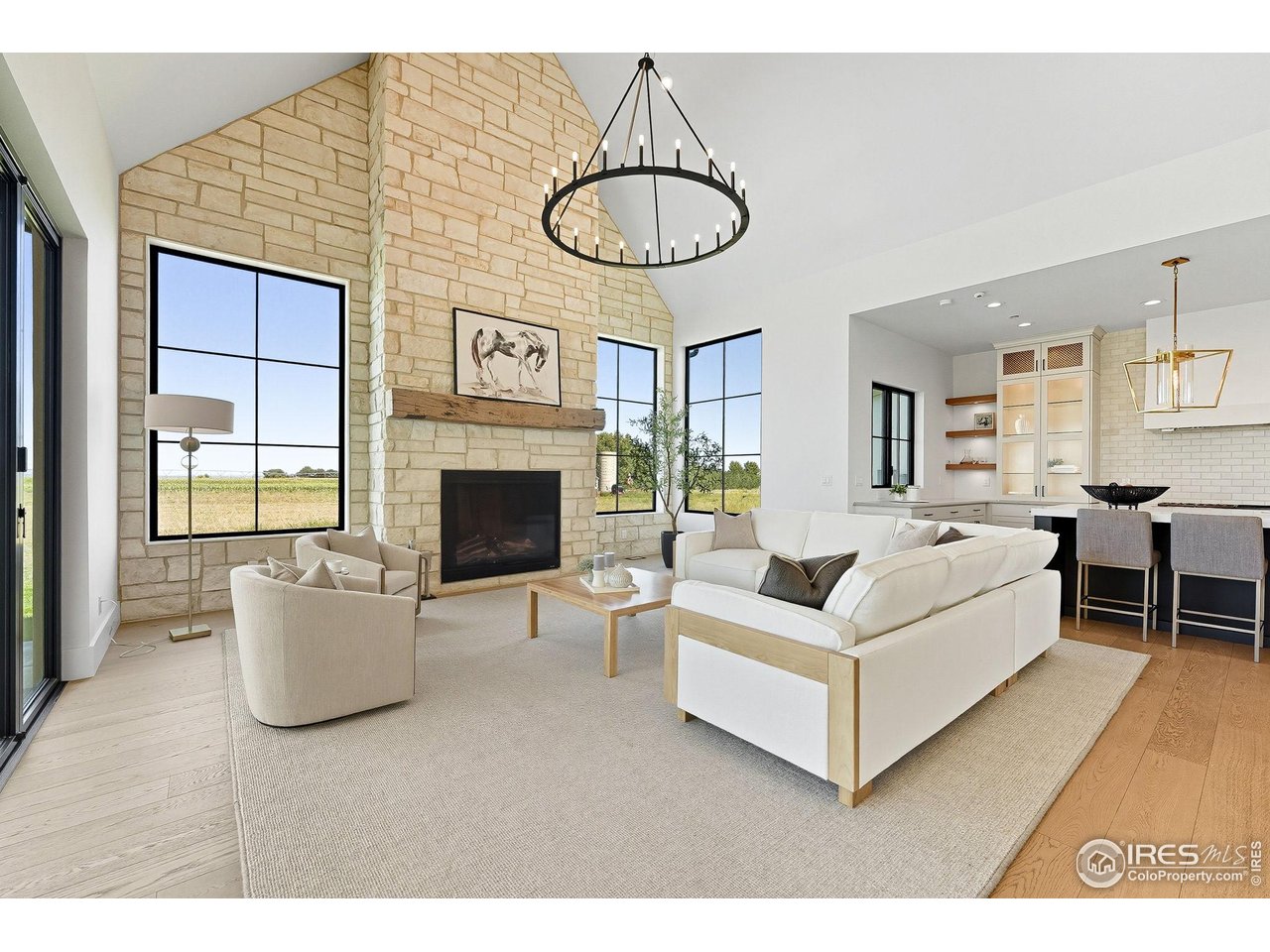 10323 Mineral Road Longmont, CO 80504 - Photo 4 of 43