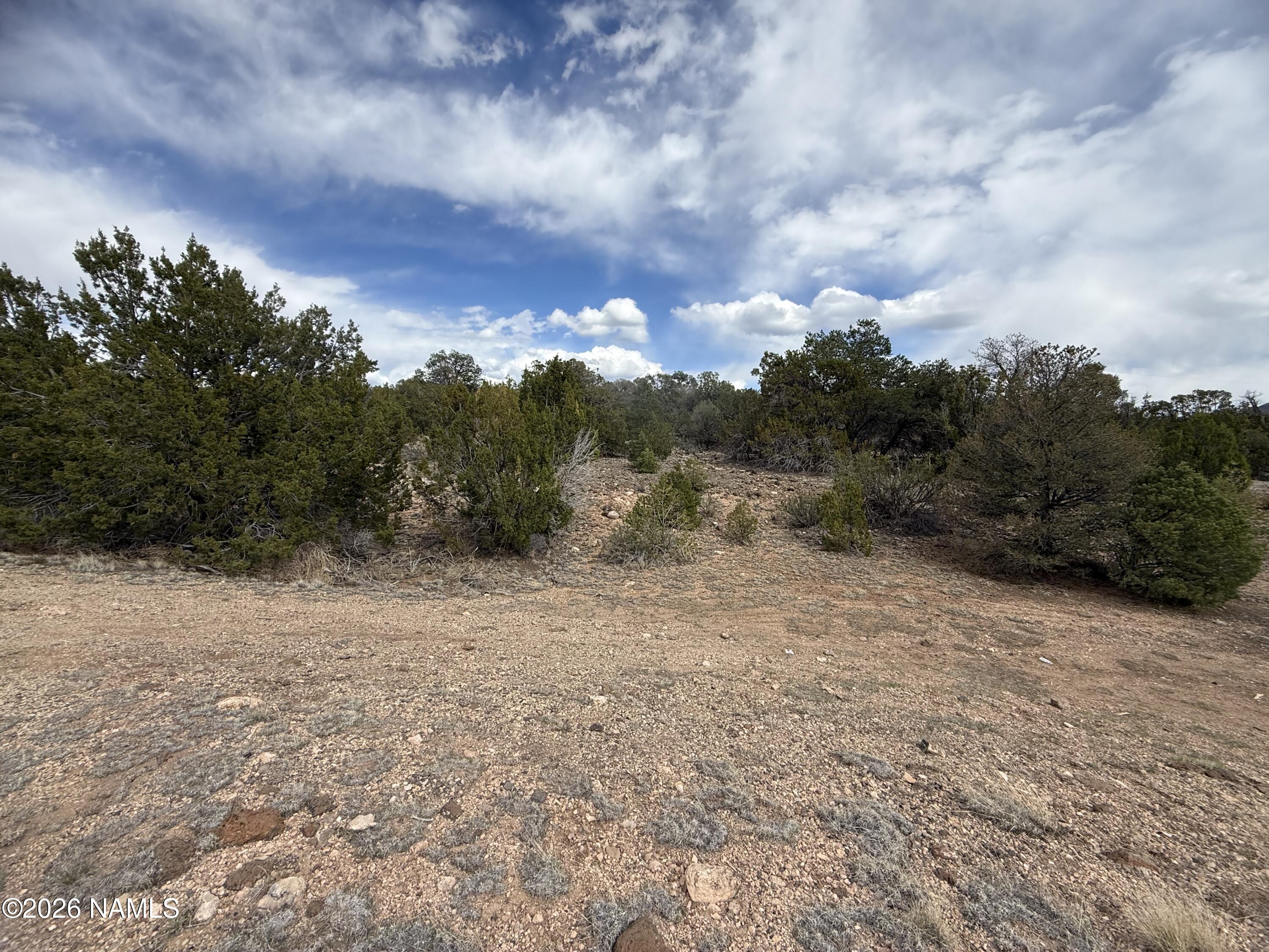12581 North Chino Road Williams, AZ 86046 - Photo 3 of 15 IMG_5256