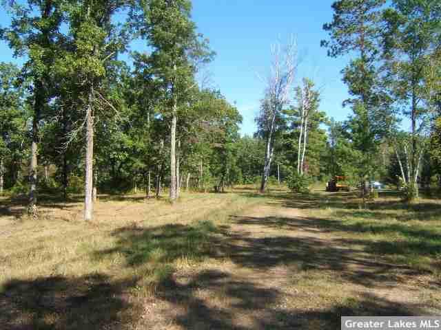 Lot 2 Blue Lake Road Emily, MN 56447 - Photo 1 of 1 Gallery Image 1