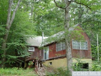 74 Cat Track Road Copake, NY 12502 - Photo 1 of 1 Photo 1