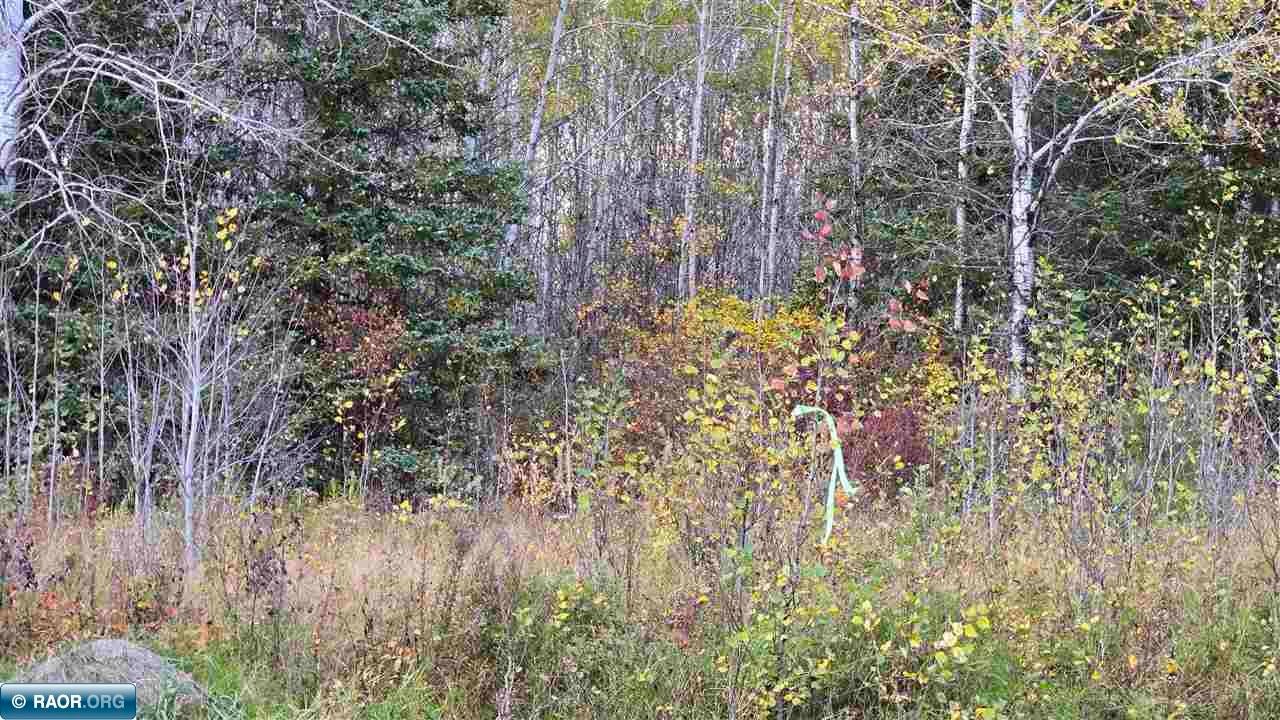 28.9 Rangeline Road Orr, MN 55771 - Photo 22 of 24 Gallery Image 22