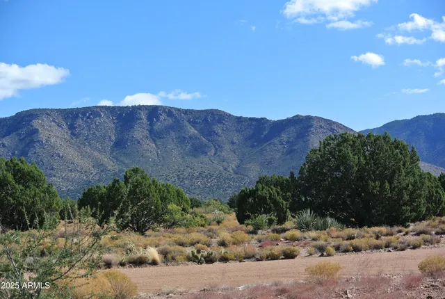 a view of a covered with snow in the background