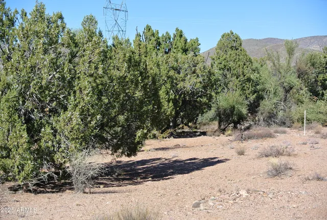 a view of a lush green field with mountains in the background