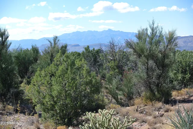 an aerial view of mountain and trees