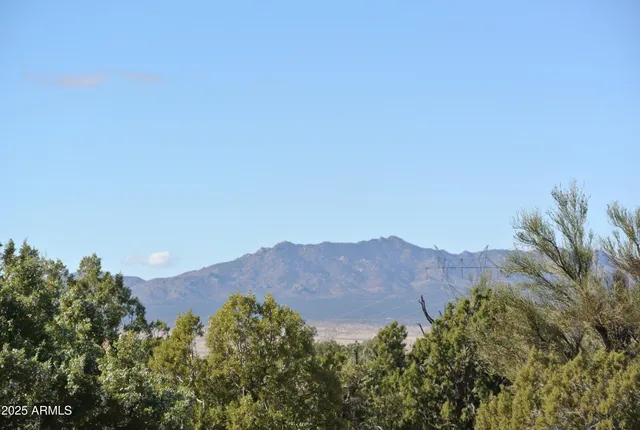 a view of a house with a mountain in the background