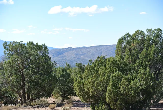 a view of a yard with plants and a bench