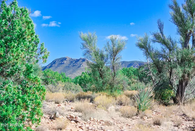 a view of a backyard of a house