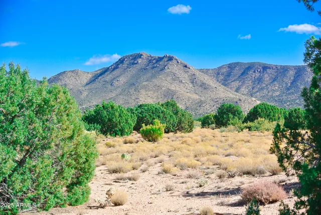 a sign that is on a pole