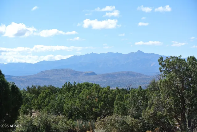 a view of a lush green field with mountains in the background