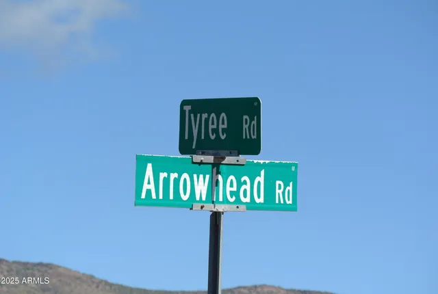 a view of a area with a mountain in the background