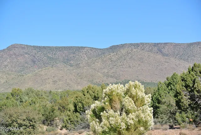 a view of a dry yard with mountains in the background