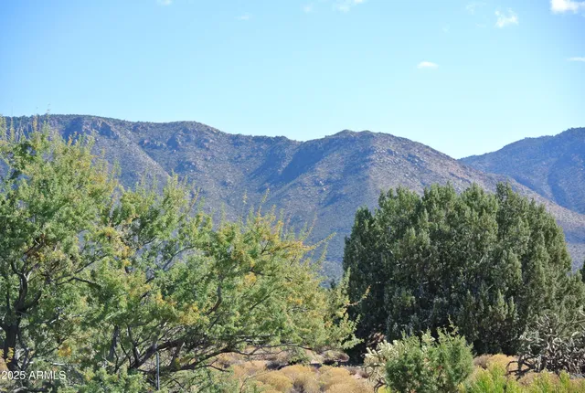 a view of a house with a mountain in the background