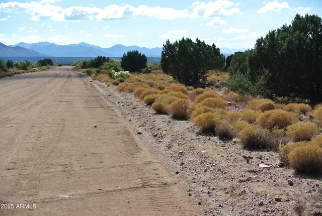 a view of a lake with mountain and trees