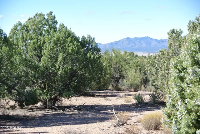 a view of a dry yard with mountains in the background