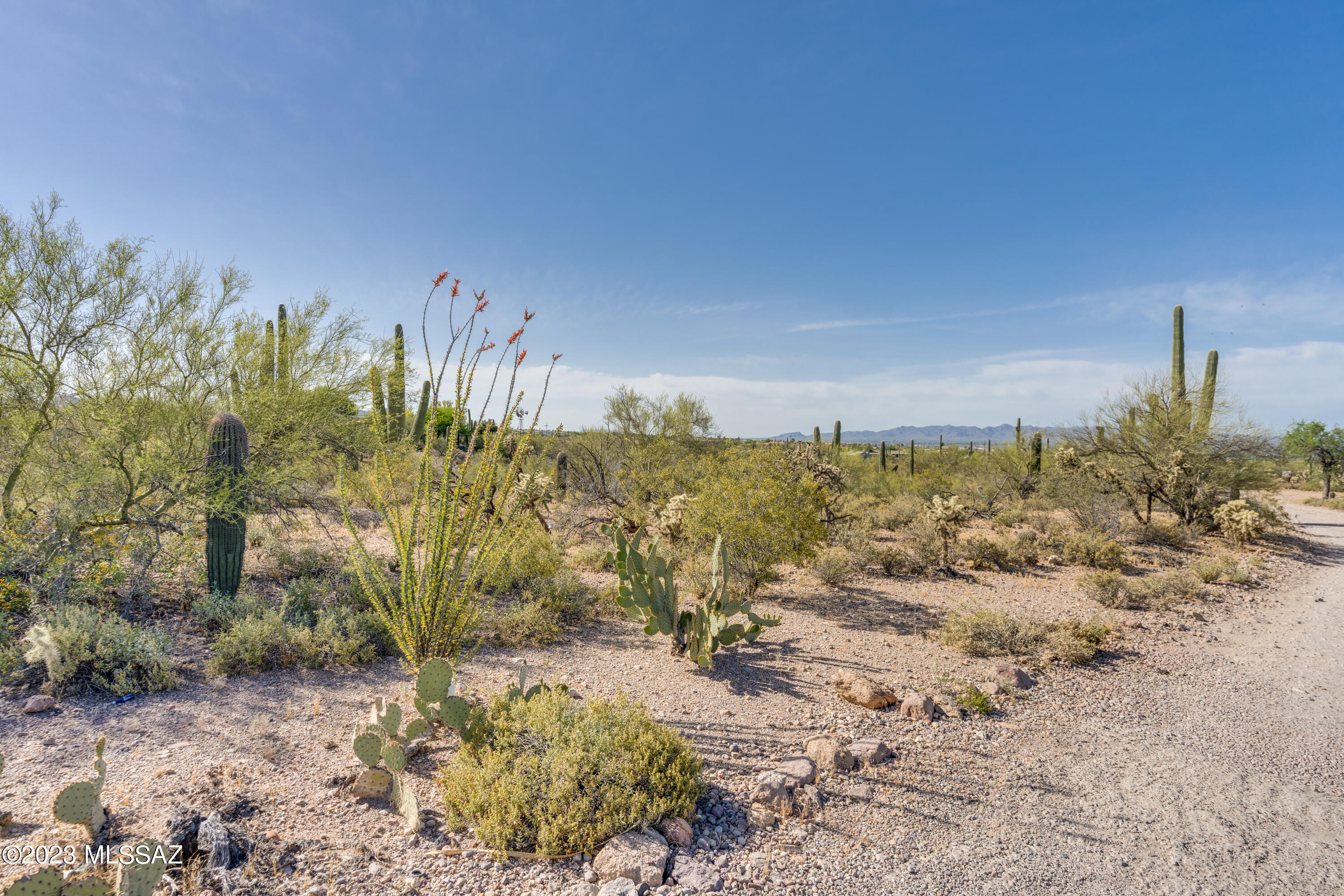 Tbd West Goret Road Tucson, AZ 85745 - Photo 7 of 17