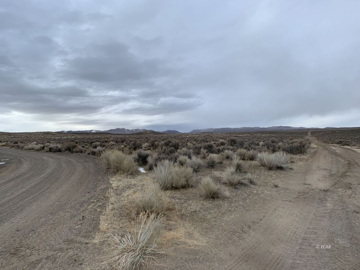 Booth Road Elko, NV 89801 - Photo 9 of 9