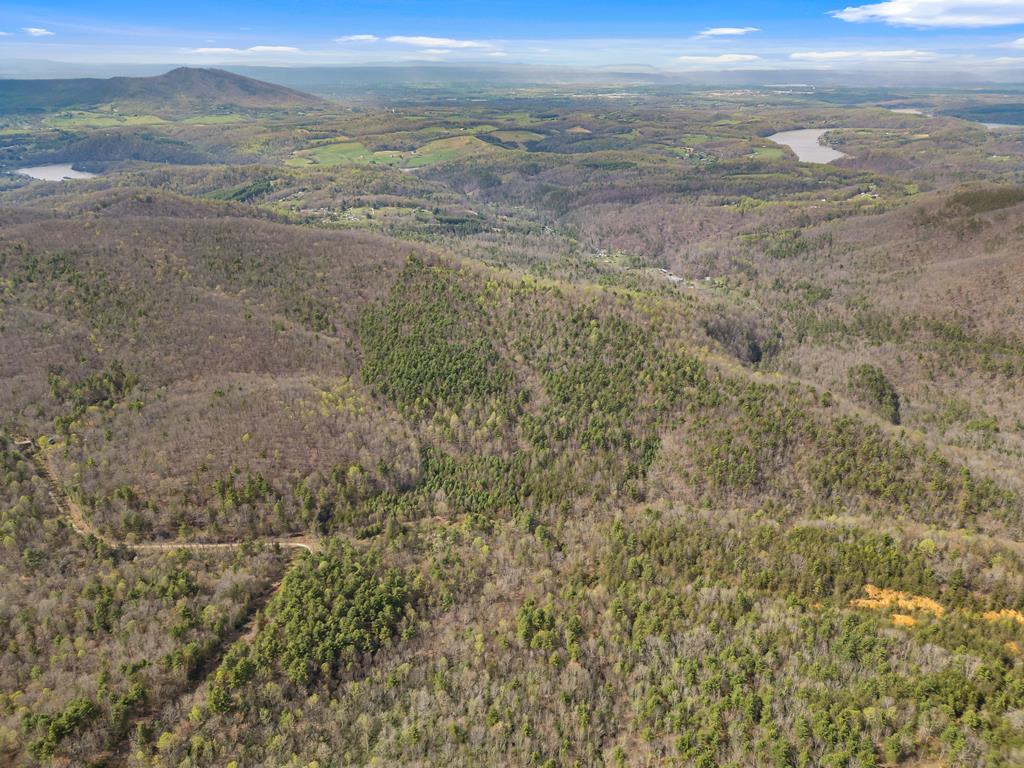 96-ac Cole Mountain Road, Unit 41 Hiwassee, VA 24347 - Photo 36 of 66 Gallery Image 36