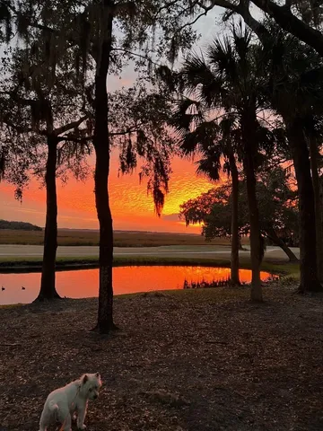 $635,000 | 3051 Sea Marsh Road, Fernandina Beach, FL 32034