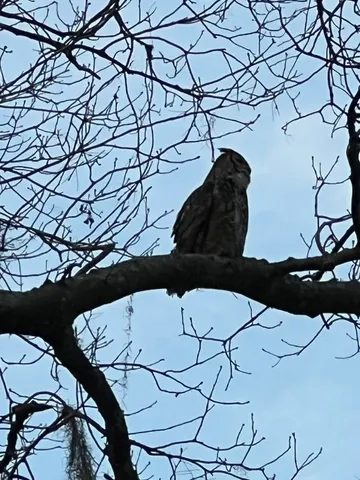 $635,000 | 3051 Sea Marsh Road, Fernandina Beach, FL 32034