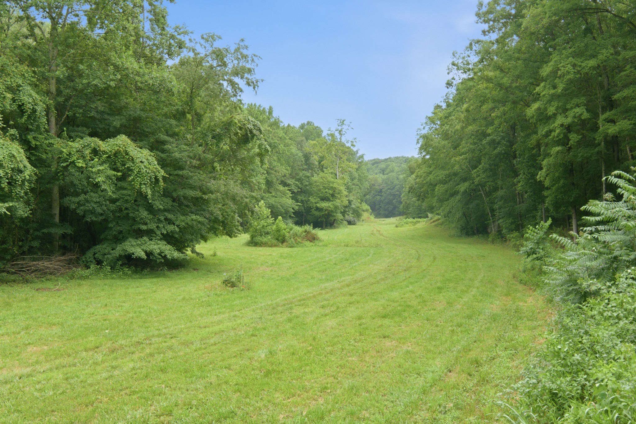 7075 Pinewood Road Nunnelly, TN 37137 - Photo 11 of 49 a view of an outdoor space and a yard