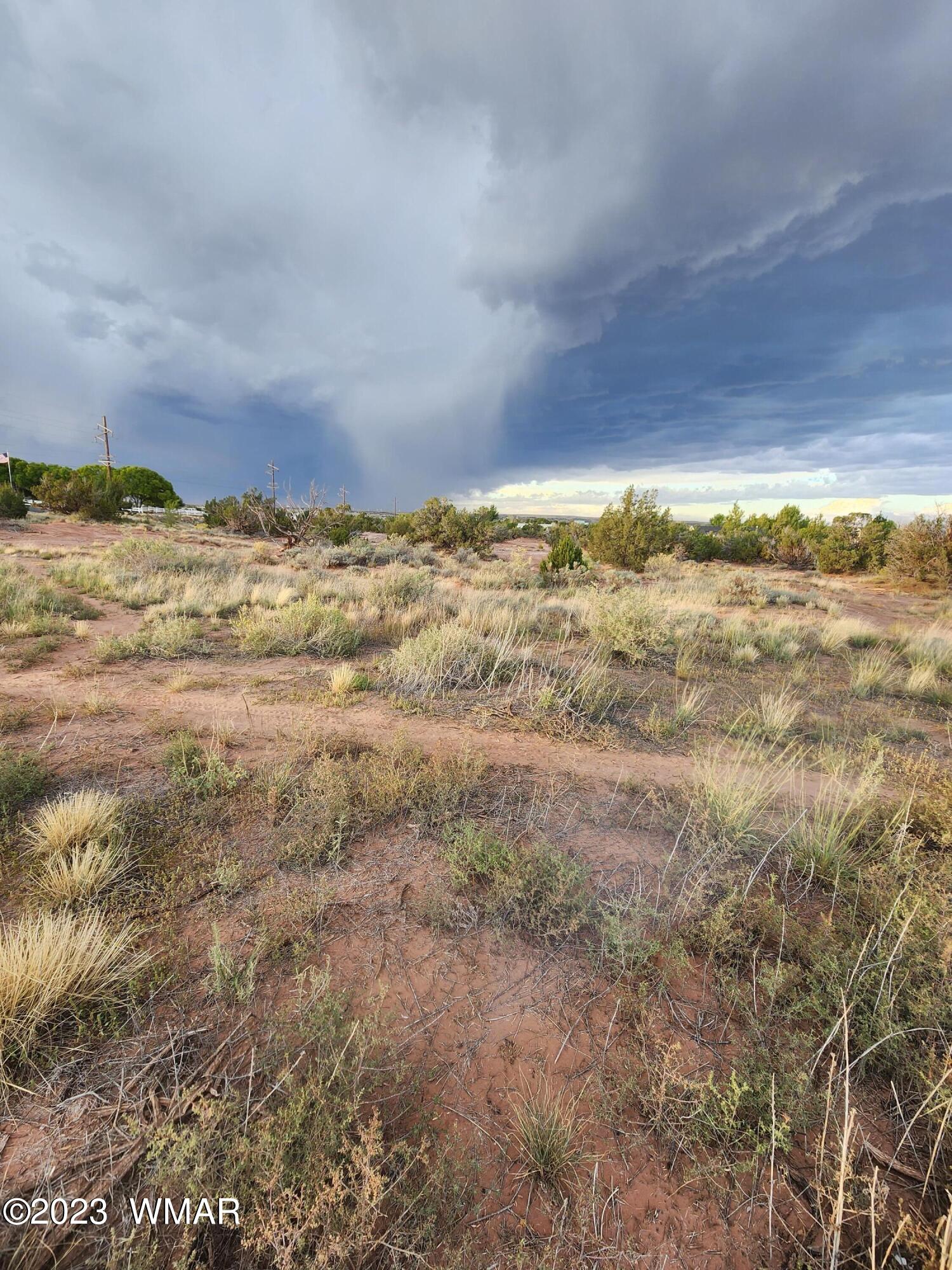 Tbd Tbd Porter/bryant Snowflake, AZ 85937 - Photo 5 of 6