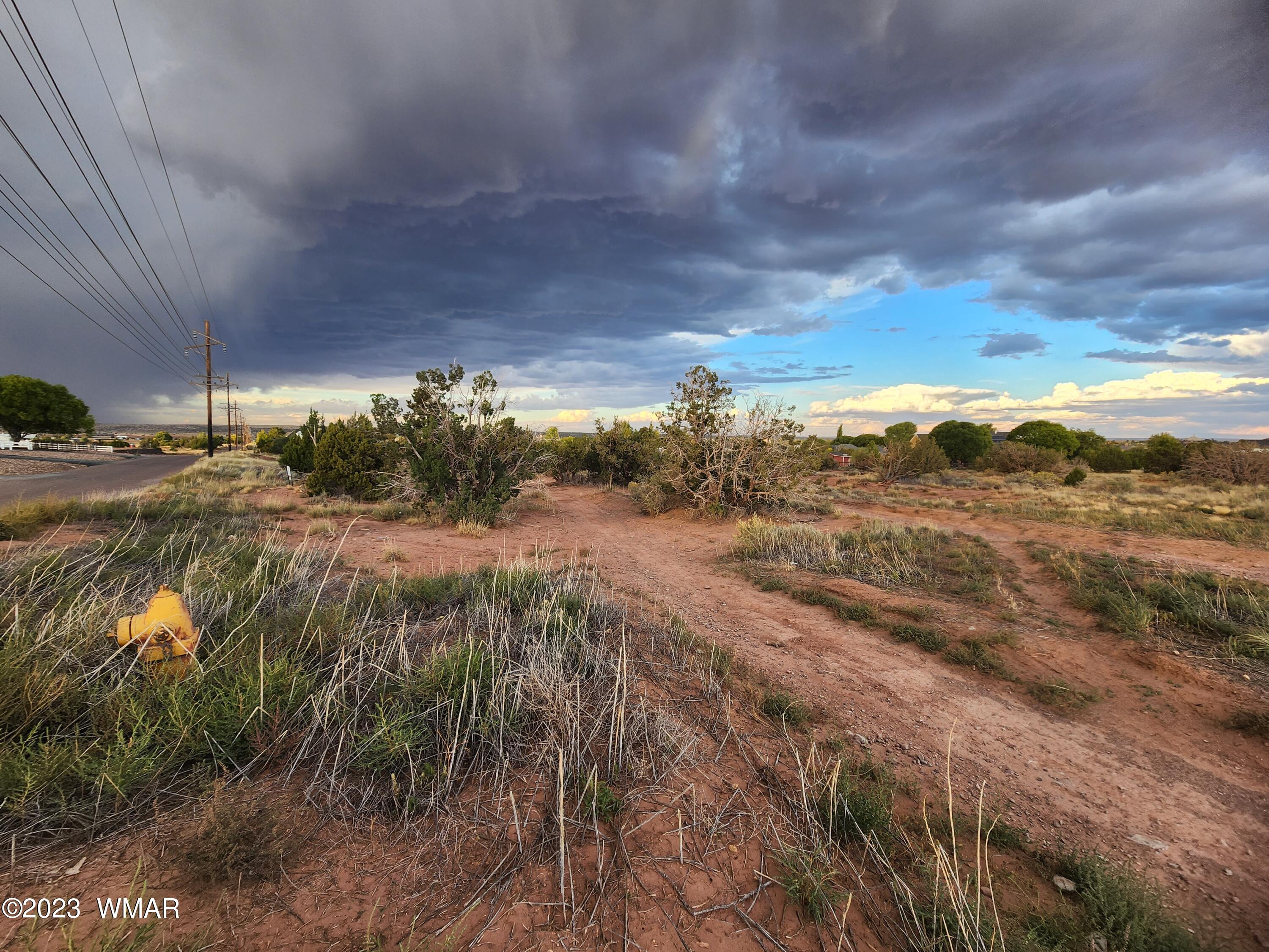 Tbd Tbd Porter/bryant Snowflake, AZ 85937 - Photo 6 of 6