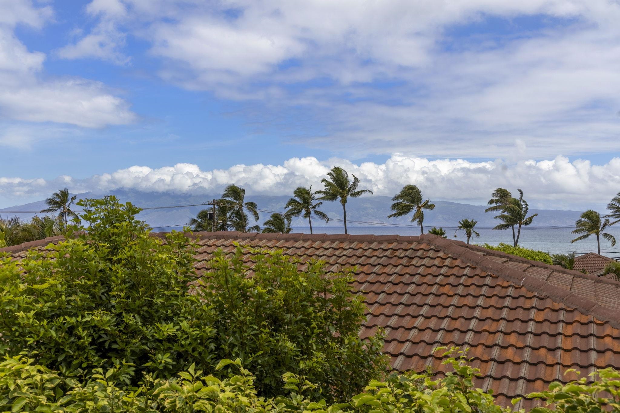 4087 North Paua Way Lahaina, HI 96761 - Photo 15 of 50 a view of a yard