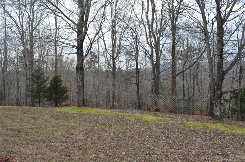 350 Cherokee Circle Tryon, NC 28782 - Photo 30 of 32 Gallery Image 30