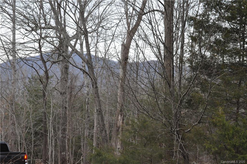 350 Cherokee Circle Tryon, NC 28782 - Photo 32 of 32 Gallery Image 32