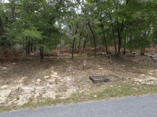 a view of a yard with trees