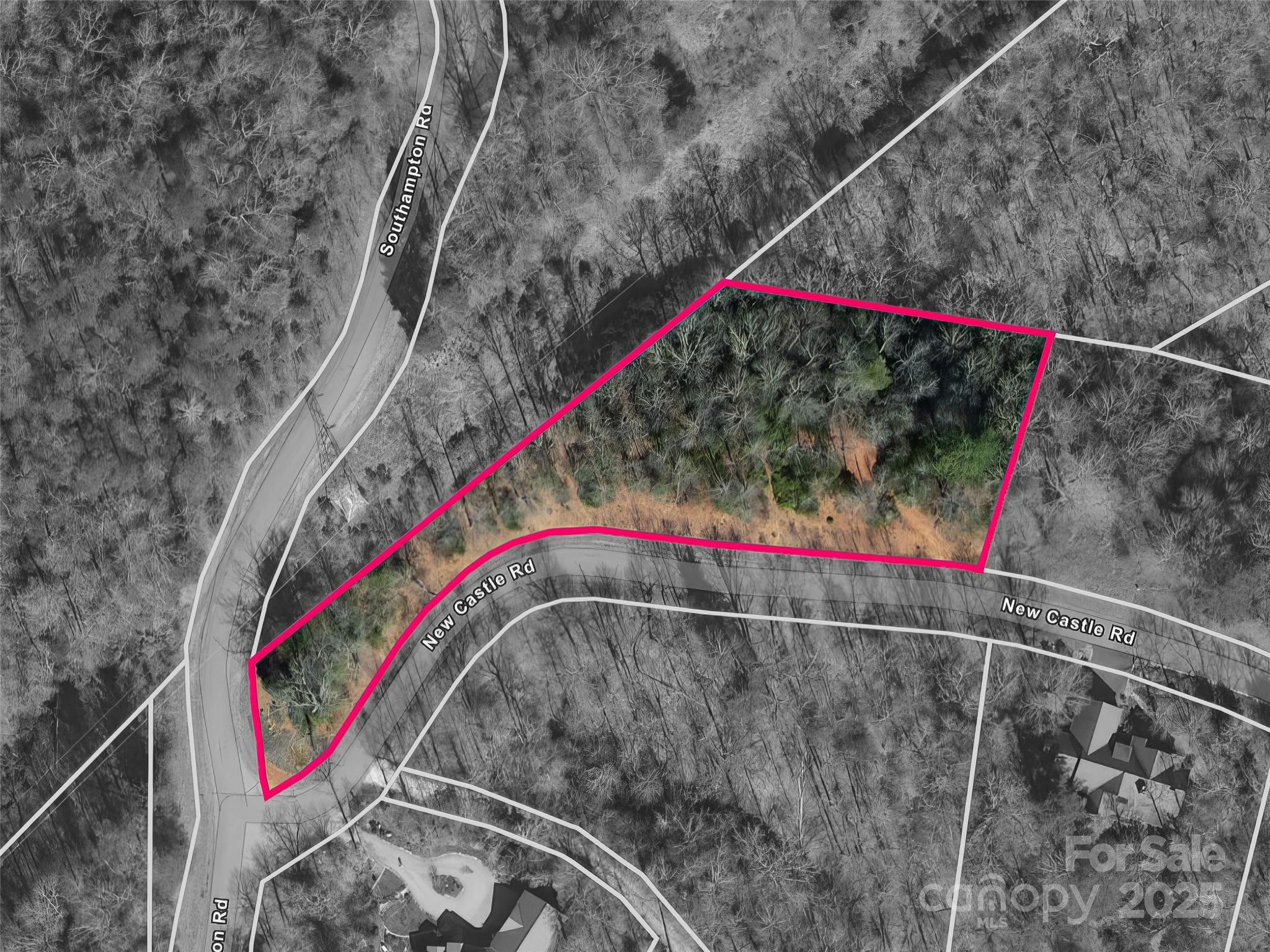 0 Newcastle Road, Unit 53 Brevard, NC 28712 - Photo 3 of 8 Gallery Image 3