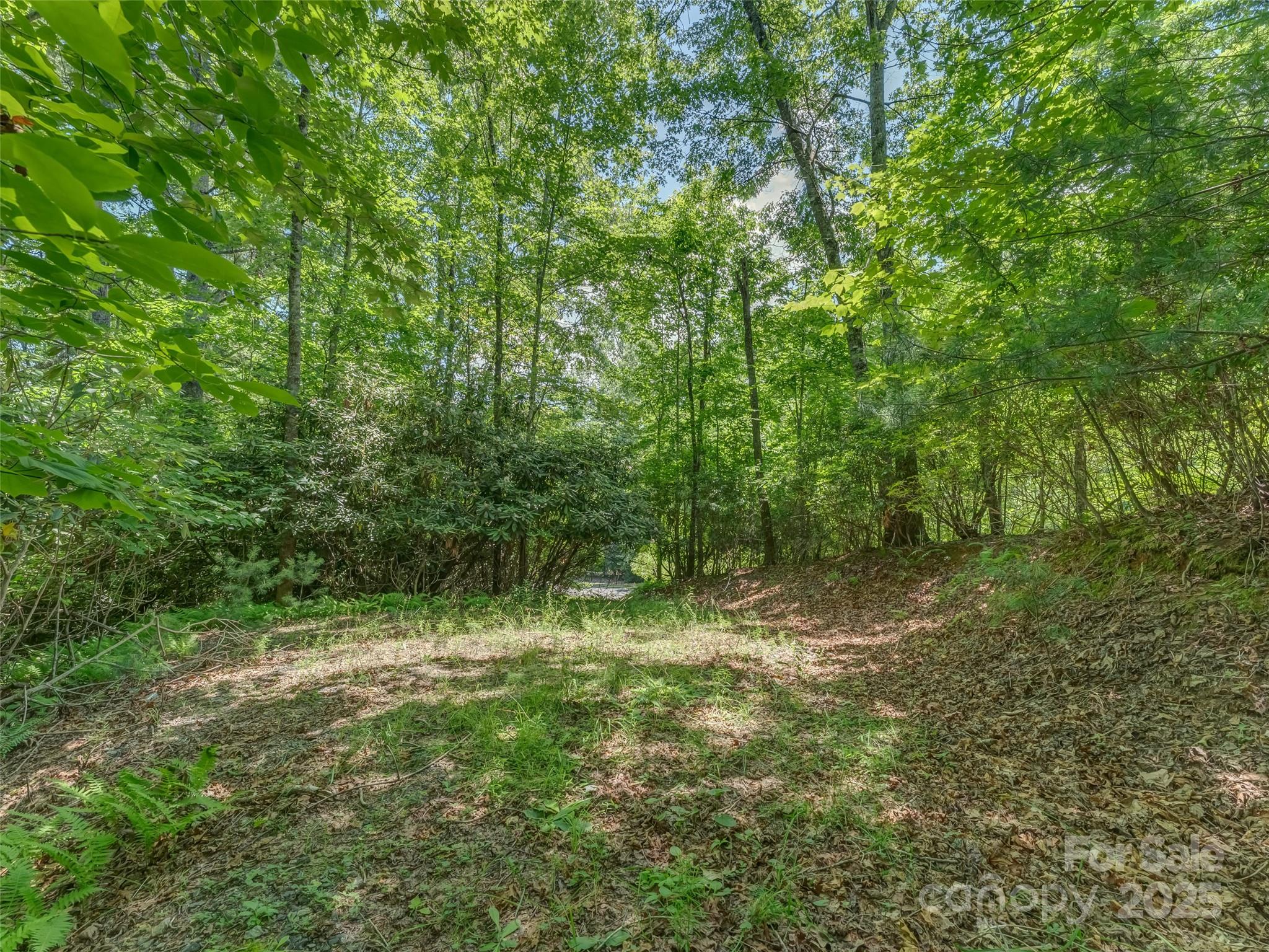 0 Newcastle Road, Unit 53 Brevard, NC 28712 - Photo 5 of 8 Gallery Image 5