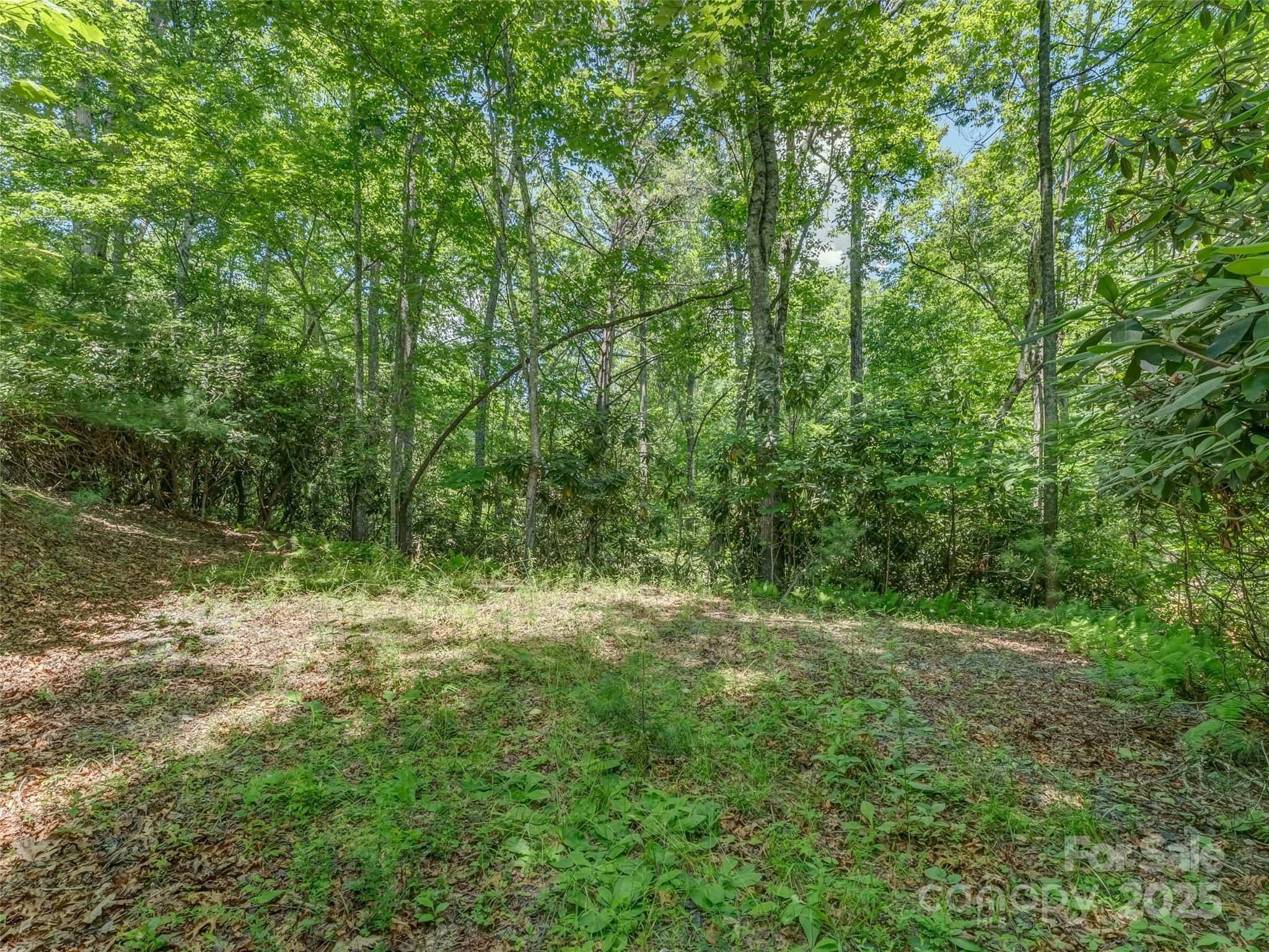 0 Newcastle Road, Unit 53 Brevard, NC 28712 - Photo 6 of 8 Gallery Image 6
