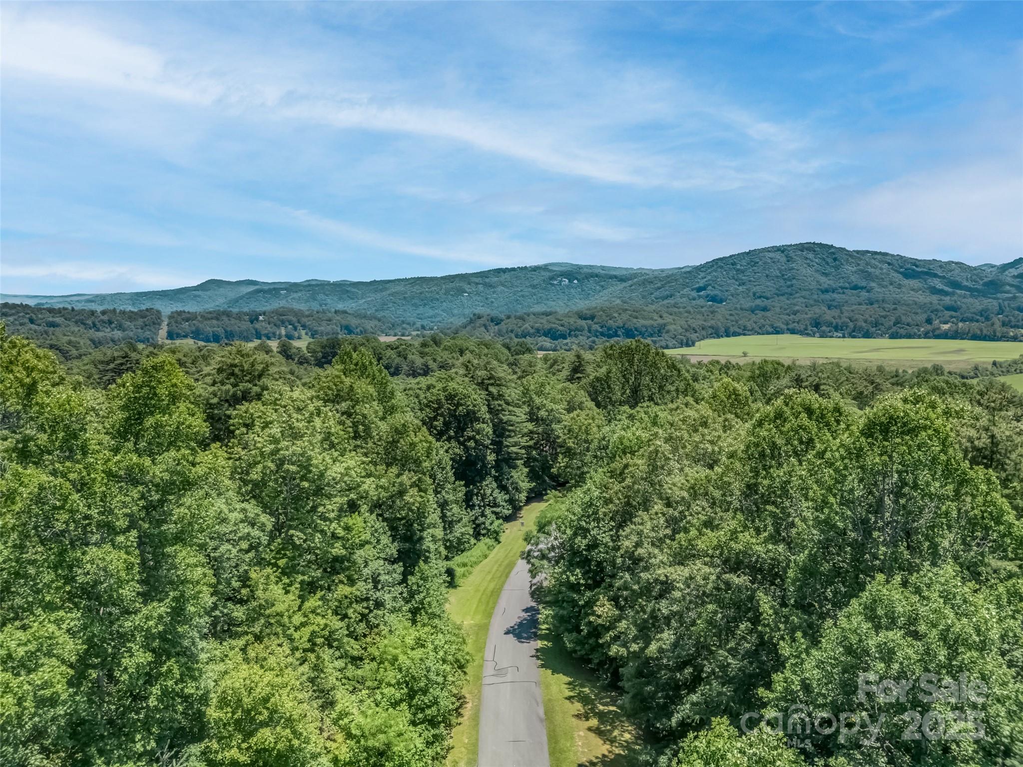 0 Newcastle Road, Unit 53 Brevard, NC 28712 - Photo 7 of 8 Gallery Image 7