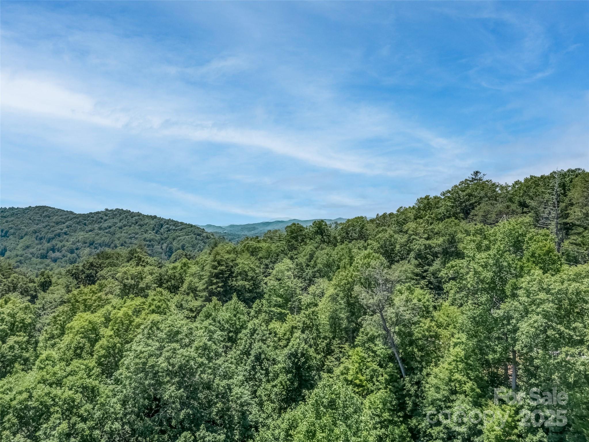 0 Newcastle Road, Unit 53 Brevard, NC 28712 - Photo 8 of 8 Gallery Image 8