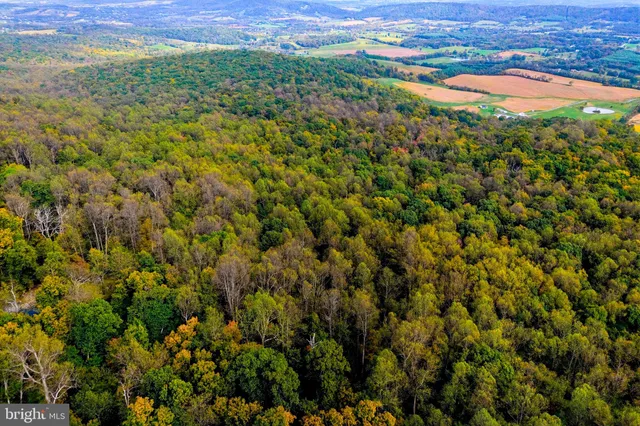 a view of a field with an outdoor space