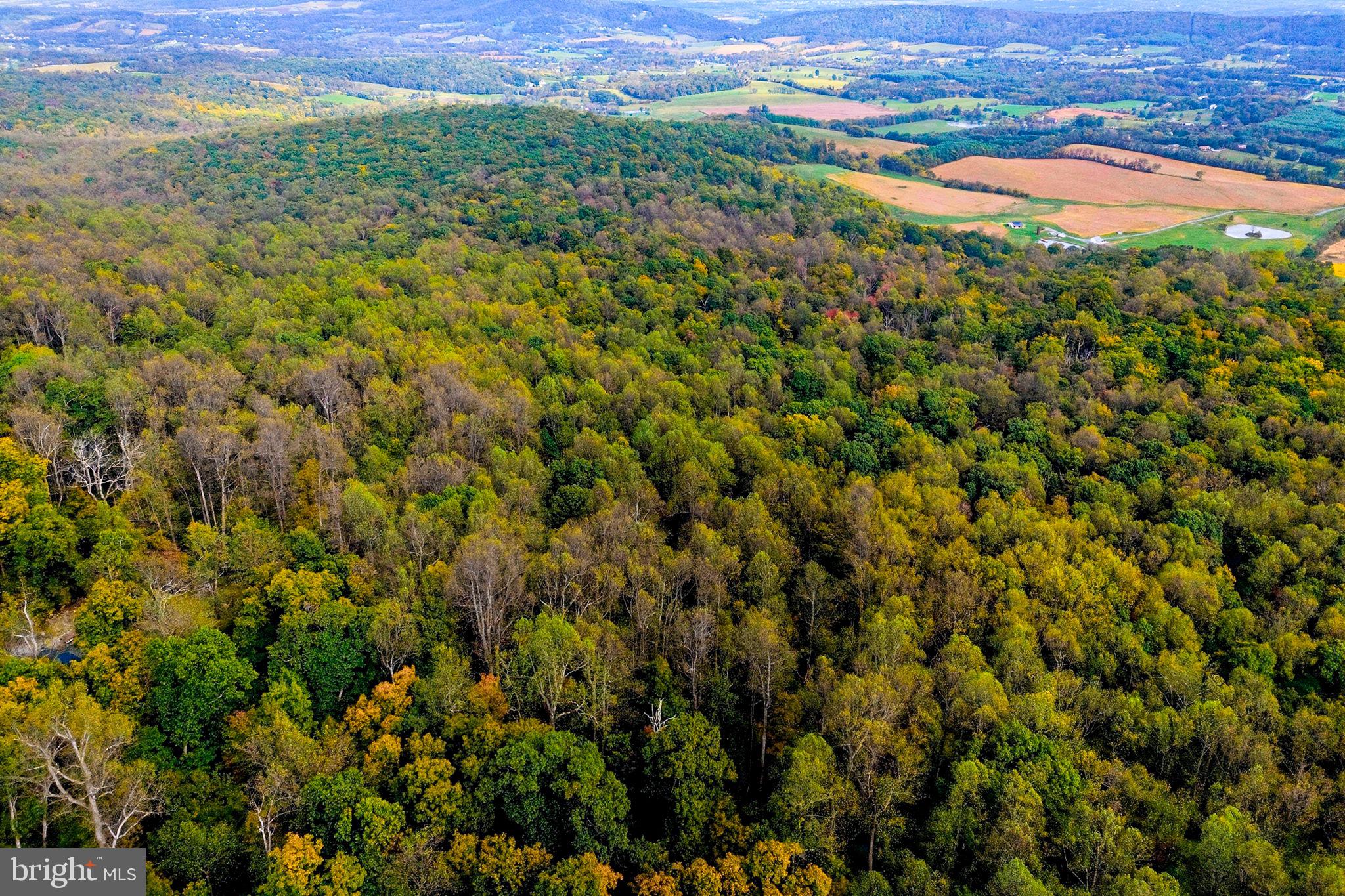 Appalacian Trail Road Purcellville, VA 20132 - Photo 1 of 24 a view of a field with an outdoor space