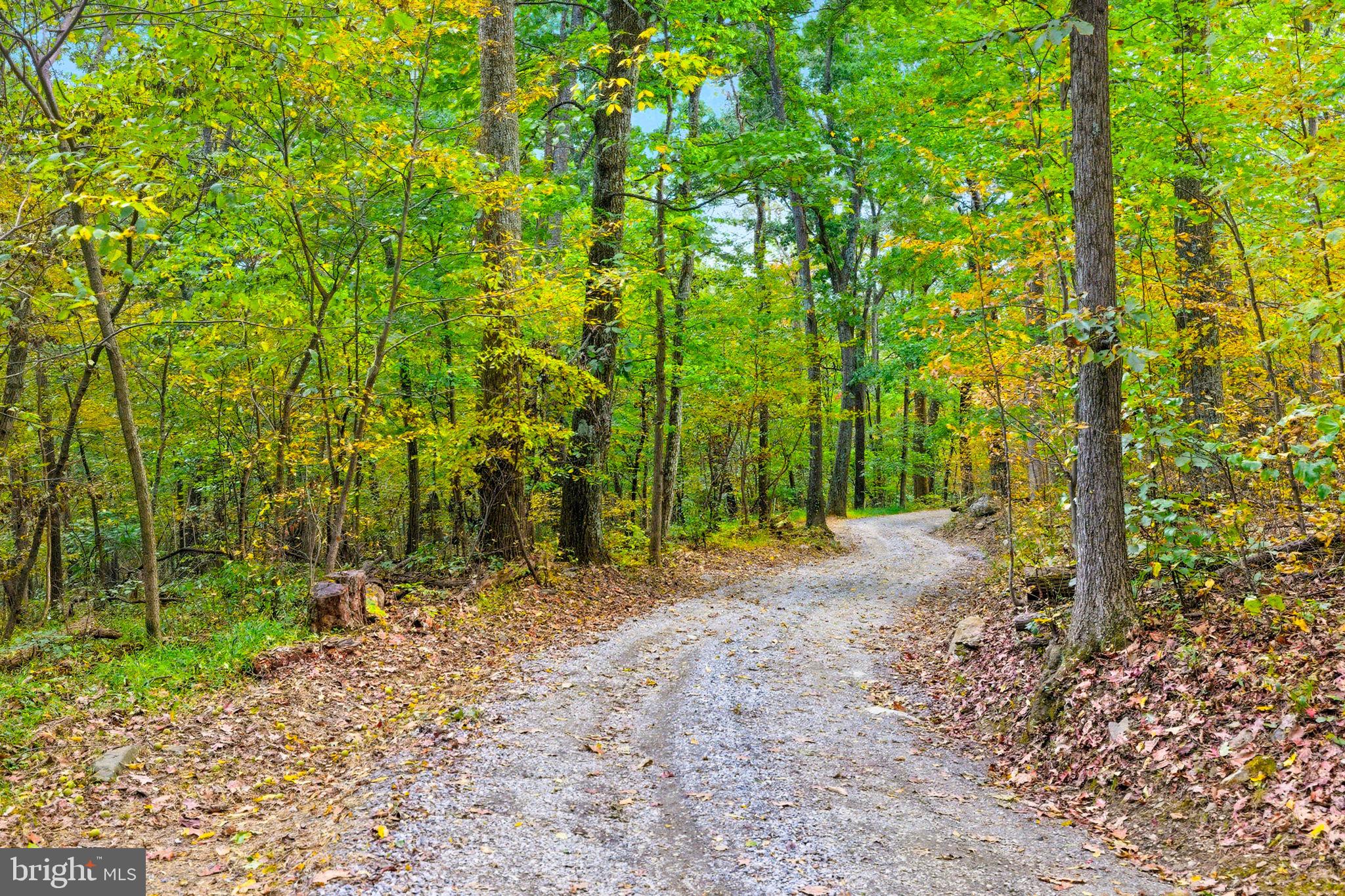 Appalacian Trail Road Purcellville, VA 20132 - Photo 12 of 24 a view of a road with plants and trees